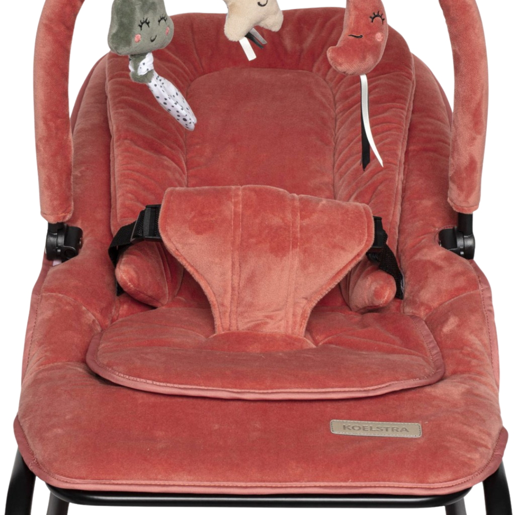 LUX Bouncer | Vintage-Rosa