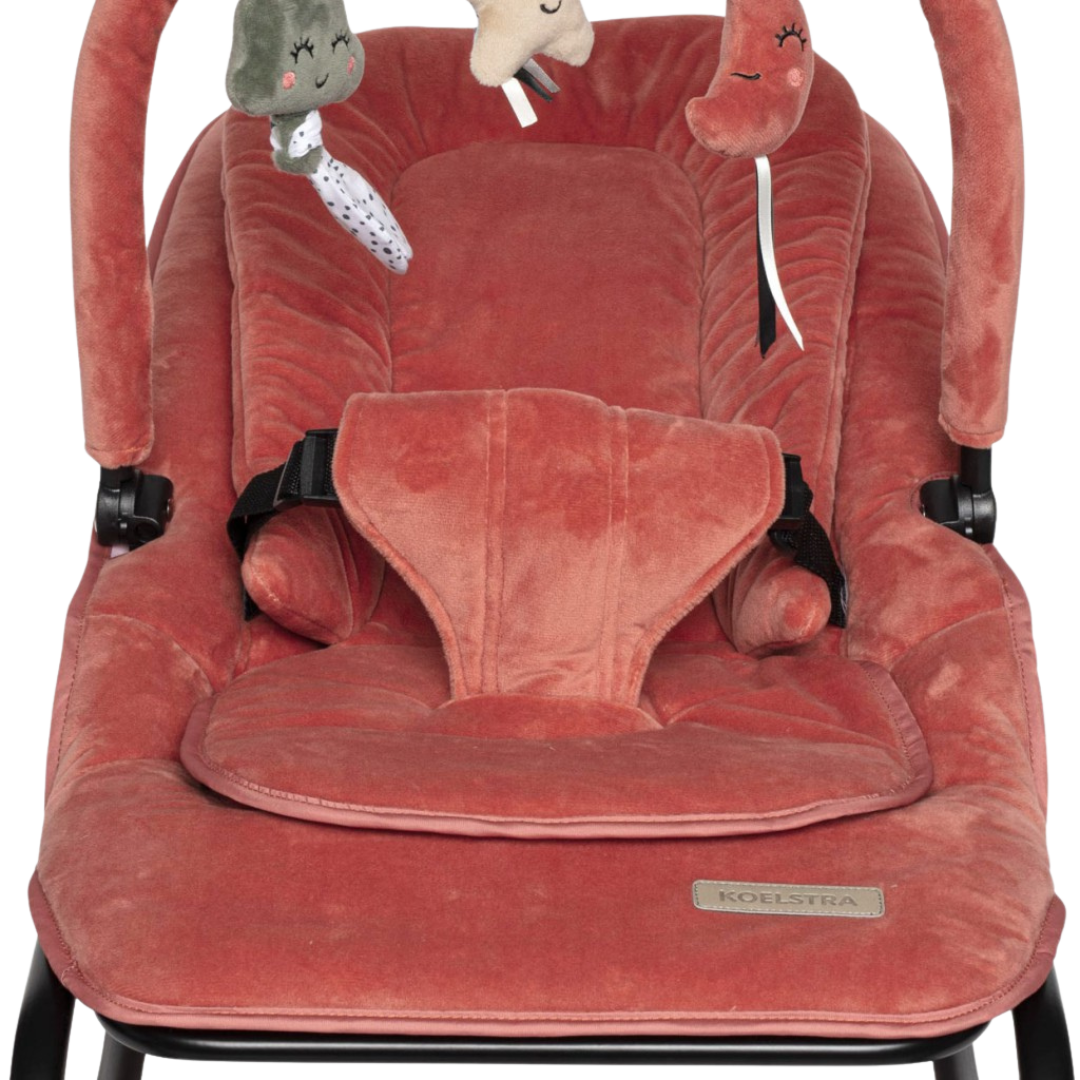 LUX Bouncer | Rose vintage